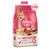  2.4KG - Thức ăn mèo Today's Care 6 Stars - Dinh dưỡng hỗ trợ sức khoẻ toàn diện Petmall 