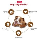 Đồ chơi nhai gặm GiGwi Nylon Wooden Antler Chew Toy - Sừng nai gỗ size L Petmall