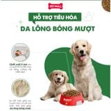 1KG - Thức ăn chó Today's Dinner Healthy Skin & Coat All Stages Dog - Hỗ trợ dưỡng lông cho chó mọi lứa tuổi Petmall