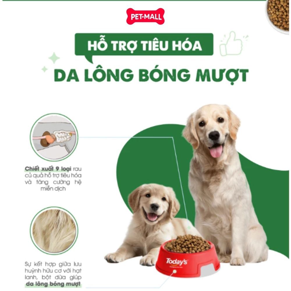 1KG - Thức ăn chó Today's Dinner Healthy Skin & Coat All Stages Dog - Hỗ trợ dưỡng lông cho chó mọi lứa tuổi Petmall