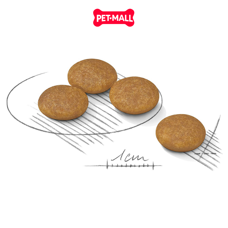 3KG Thức ăn chó Royal Canin Mini Dermacomfort Hỗ trợ dị ứng