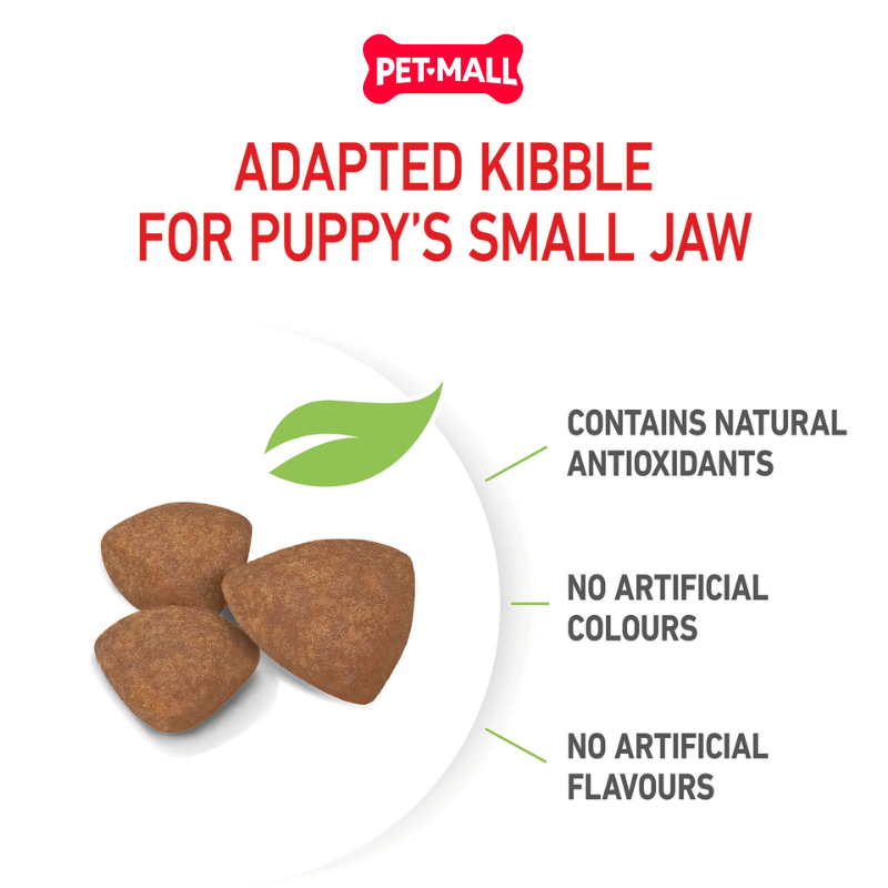 800G - Thức ăn chó Royal Canin MINI PUPPY