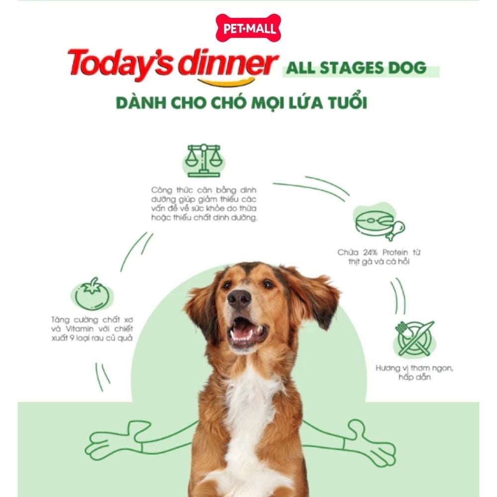 1KG - Thức ăn chó Today's Dinner Healthy Skin & Coat All Stages Dog - Hỗ trợ dưỡng lông cho chó mọi lứa tuổi Petmall