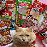 Treats mèo Ciao Churu 56g súp thưởng giàu dinh dưỡng Petmall