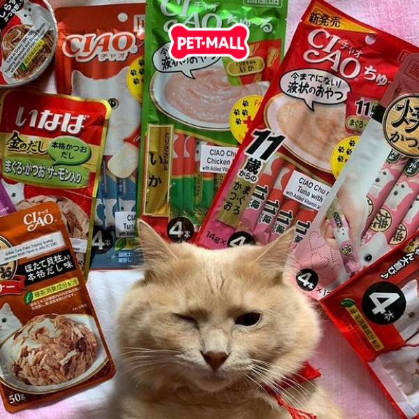 Treats mèo Ciao Churu 56g súp thưởng giàu dinh dưỡng Petmall