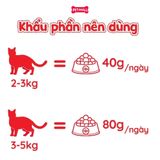 Hộp 16 Gói 40G - Pate mèo CIAO Chicken Fillet & Scallop - Vị thịt gà và sò Petmall