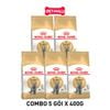  Combo 5 gói 400G - Thức Ăn Mèo Royal Canin British Shorthair Adult Petmall 