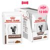 Pate Mèo Royal Canin Gastrointestinal Gravy 85g - Hộp 12 Gói
