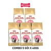  Combo 5 gói 400G - Thức ăn mèo Royal Canin Persian Kitten - Mèo con Ba Tư Petmall 