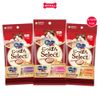  Treats mèo Silver Spoon súp thưởng dạng thanh size Mini từ Nhật Bản (8 tuýp x 6g) Petmall 