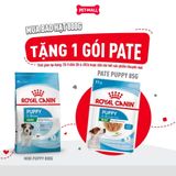 Set quà RC - 800g Mini Puppy Thức ăn chó tặng 1 gói Pate Mini Puppy 85g Petmall