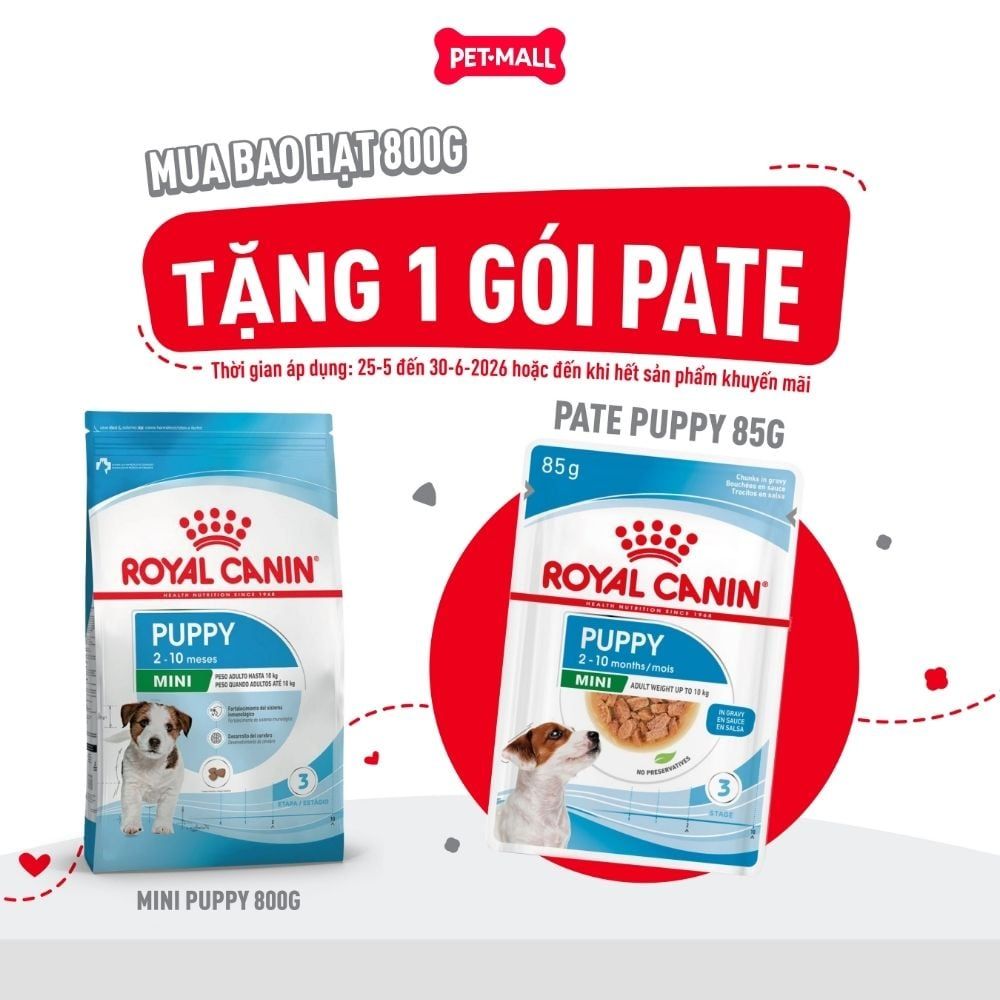 Set quà RC - 800g Mini Puppy Thức ăn chó tặng 1 gói Pate Mini Puppy 85g Petmall