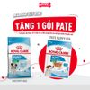 Set quà RC - 800g Mini Puppy Thức ăn chó tặng 1 gói Pate Mini Puppy 85g Petmall