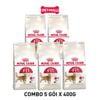  Combo 5 gói 400G - Thức ăn mèo Royal Canin FIT32 Petmall 