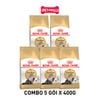  Combo 5 gói 400G - Thức ăn mèo Royal Canin Persian Adult - Dành cho mèo Ba Tư Petmall 