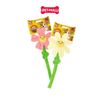  Đồ chơi FOFOS bông hoa phát ra tiếng smile flower - Có dây thừng Petmall 