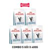  Combo 5 gói 400G - Thức ăn mèo Royal Canin Skin & Coat - Dưỡng da và lông Petmall 