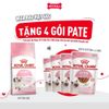  Set quà RC - 4KG Kitten Thức ăn mèo tặng 4 gói Pate Kitten 85g Petmall 