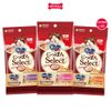 Treats mèo Silver Spoon súp thưởng dạng thanh size Mini từ Nhật Bản