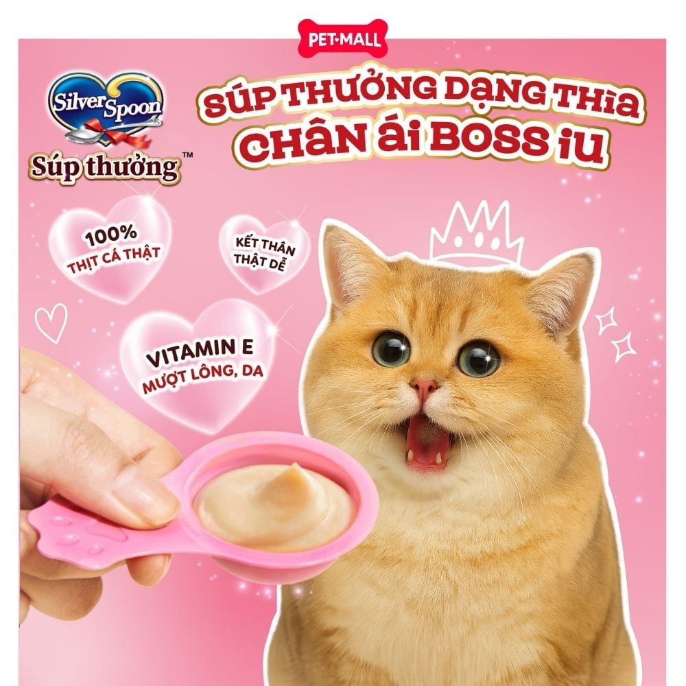 Treats mèo Silver Spoon súp thưởng dạng thìa tiện lợi từ Nhật Bản (4 thìa) Petmall