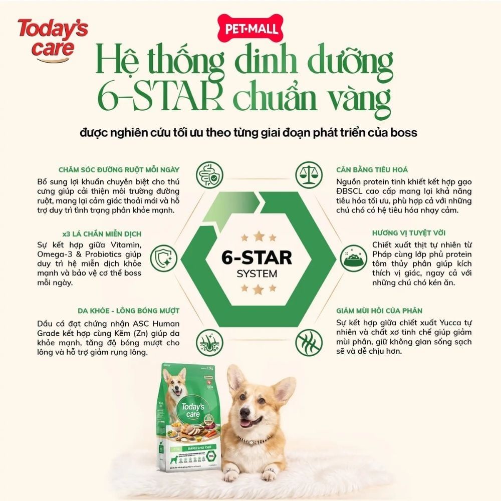 2.4KG - Thức ăn chó Today's Care 6 Stars - Dinh dưỡng hỗ trợ sức khoẻ toàn diện Petmall