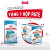Set quà RC - 8KG Mini Puppy Thức ăn chó tặng 1 hộp Pate Mini Puppy 85g Petmall