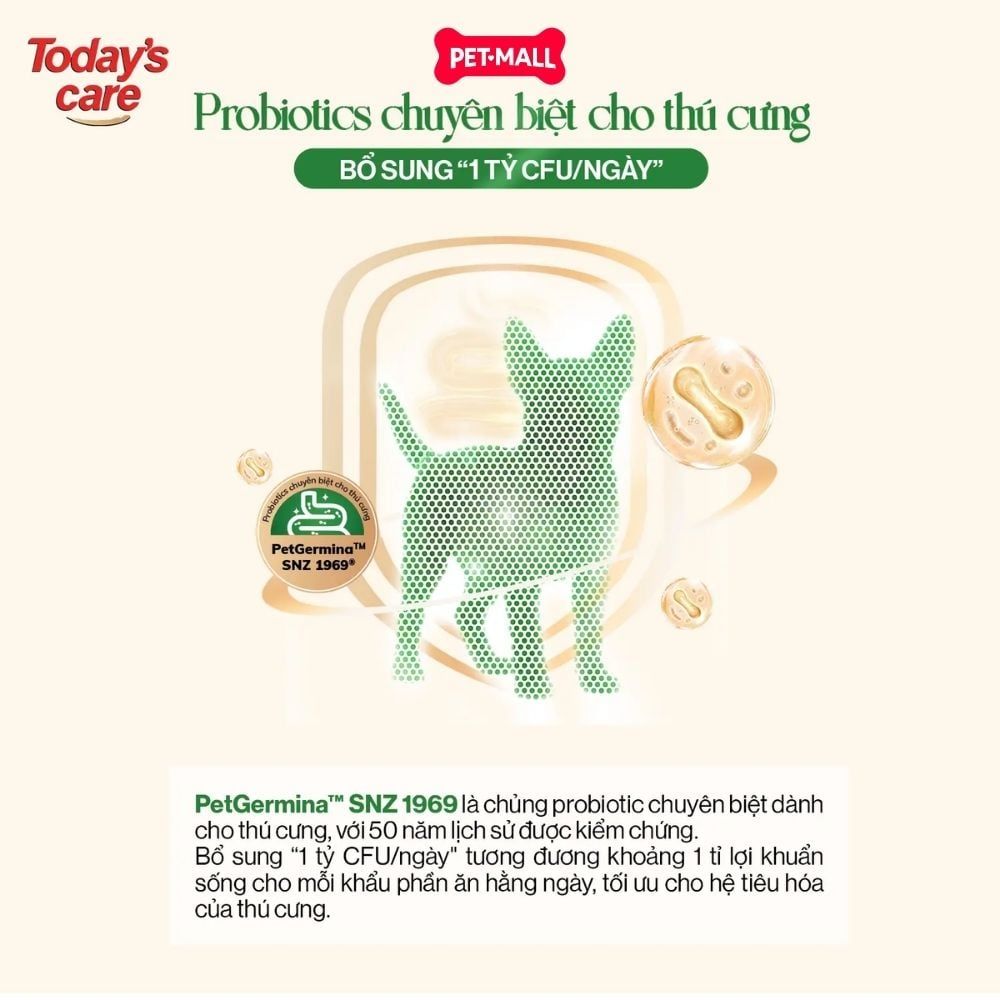 2.4KG - Thức ăn chó Today's Care 6 Stars - Dinh dưỡng hỗ trợ sức khoẻ toàn diện Petmall
