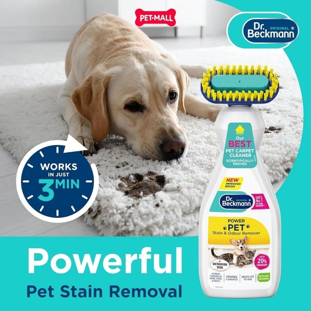 Xịt khử mùi, tẩy vết bẩn Dr.Beckmann Pet Stain & Odour Remover 650ml - Kèm đầu bàn chải chuyên dụng Petmall