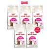  Combo 5 gói 400G - Thức ăn mèo Royal Canin Fussy Exigent - Hỗ trợ mèo trưởng thành kén ăn Petmall 