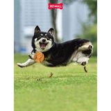 Đồ chơi GiGwi G Foamer TPR Ball - Bóng Cao Su Màu Cam Petmall