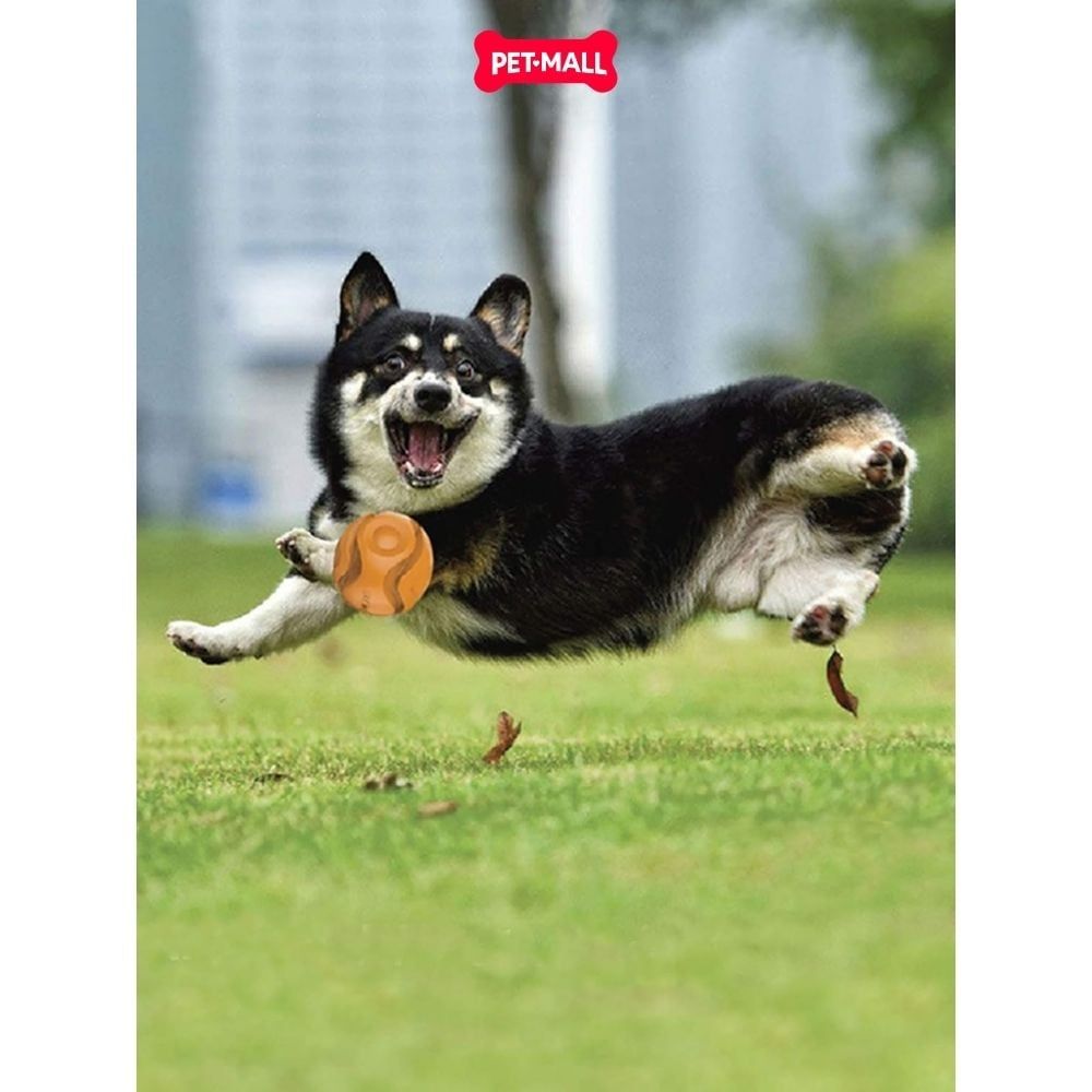 Đồ chơi GiGwi G Foamer TPR Ball - Bóng Cao Su Màu Cam Petmall