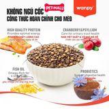 6kg - Thức ăn mèo WANPY Grain Free không chứa ngũ cốc Petmall