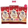  Combo 24 gói - Treats mèo Silver Spoon súp thưởng dạng thanh size Mini từ Nhật Bản (8 tuýp x 6g) - Mix vị Petmall 