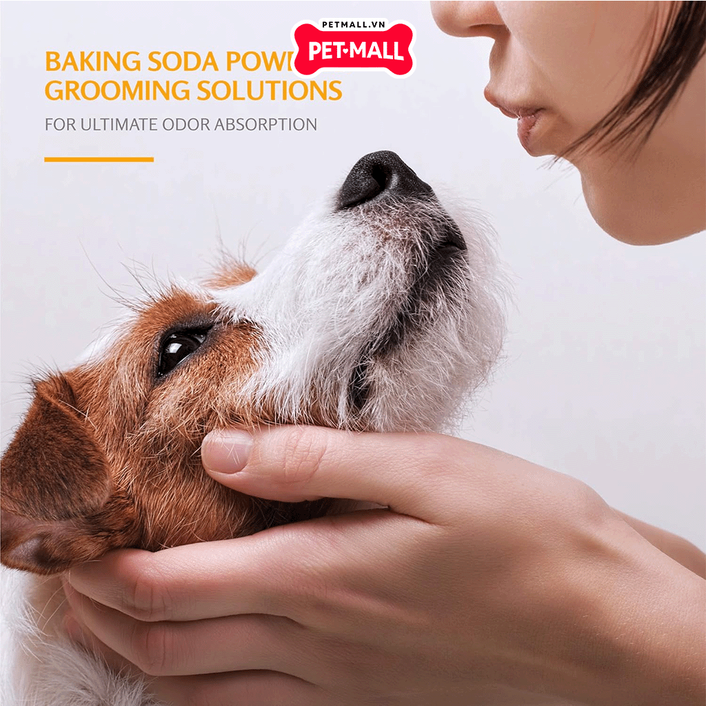 Sữa tắm ARM & HAMMER Tearless Puppy Shampoo Coconut water for Dog 591ml - Hương dừa Petmall