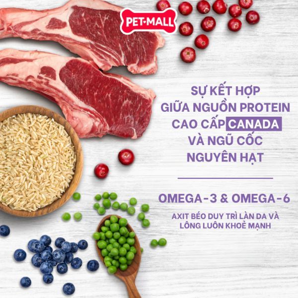 10KG - Thức ăn chó Nutrience Original for Medium & Large dogs - Thịt cừu, gạo lứt & rau củ Petmall