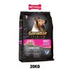  20KG - Thức ăn chó GANADOR Adult Salmon & Rice Petmall 