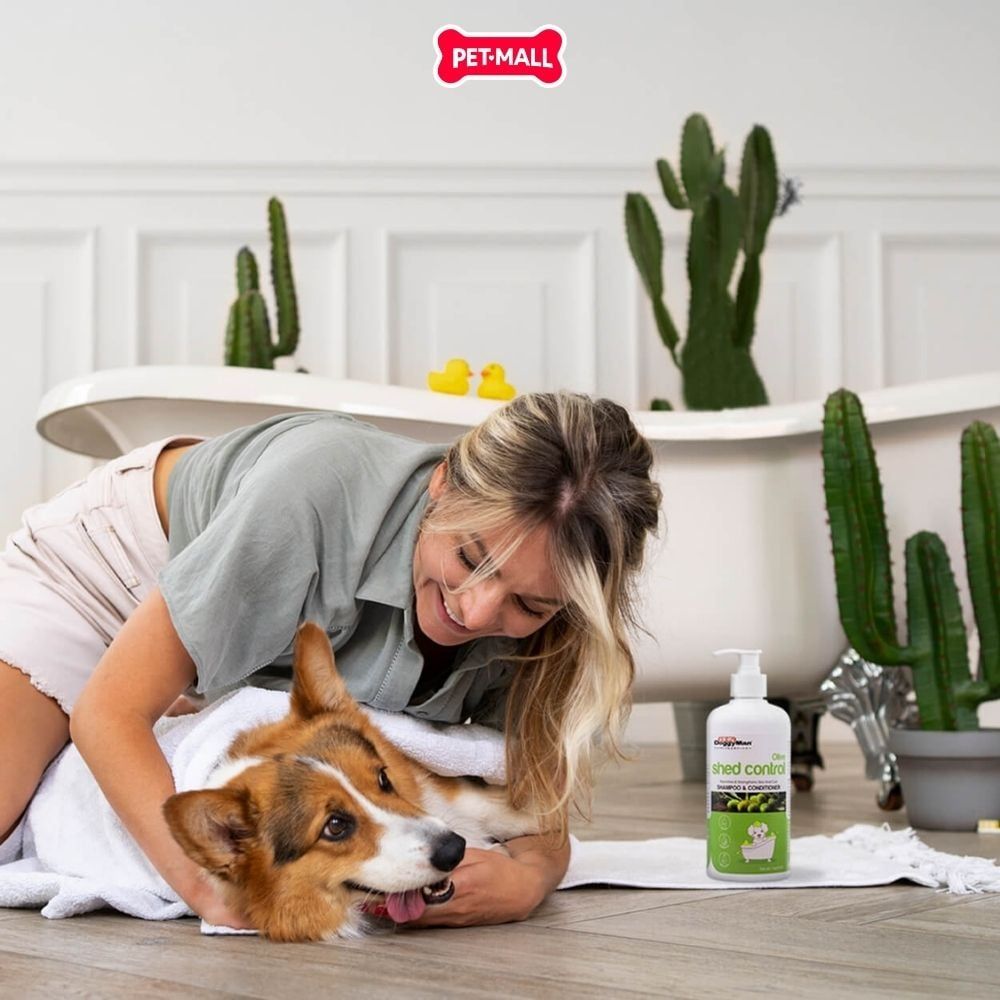 Sữa tắm Doggyman Olive Shed Control 500ml - Hương Ô liu dưỡng lông, chăm sóc da cho chó Petmall