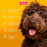 Sữa tắm ARM & HAMMER Tearless Puppy Shampoo Coconut water for Dog 591ml - Hương dừa Petmall