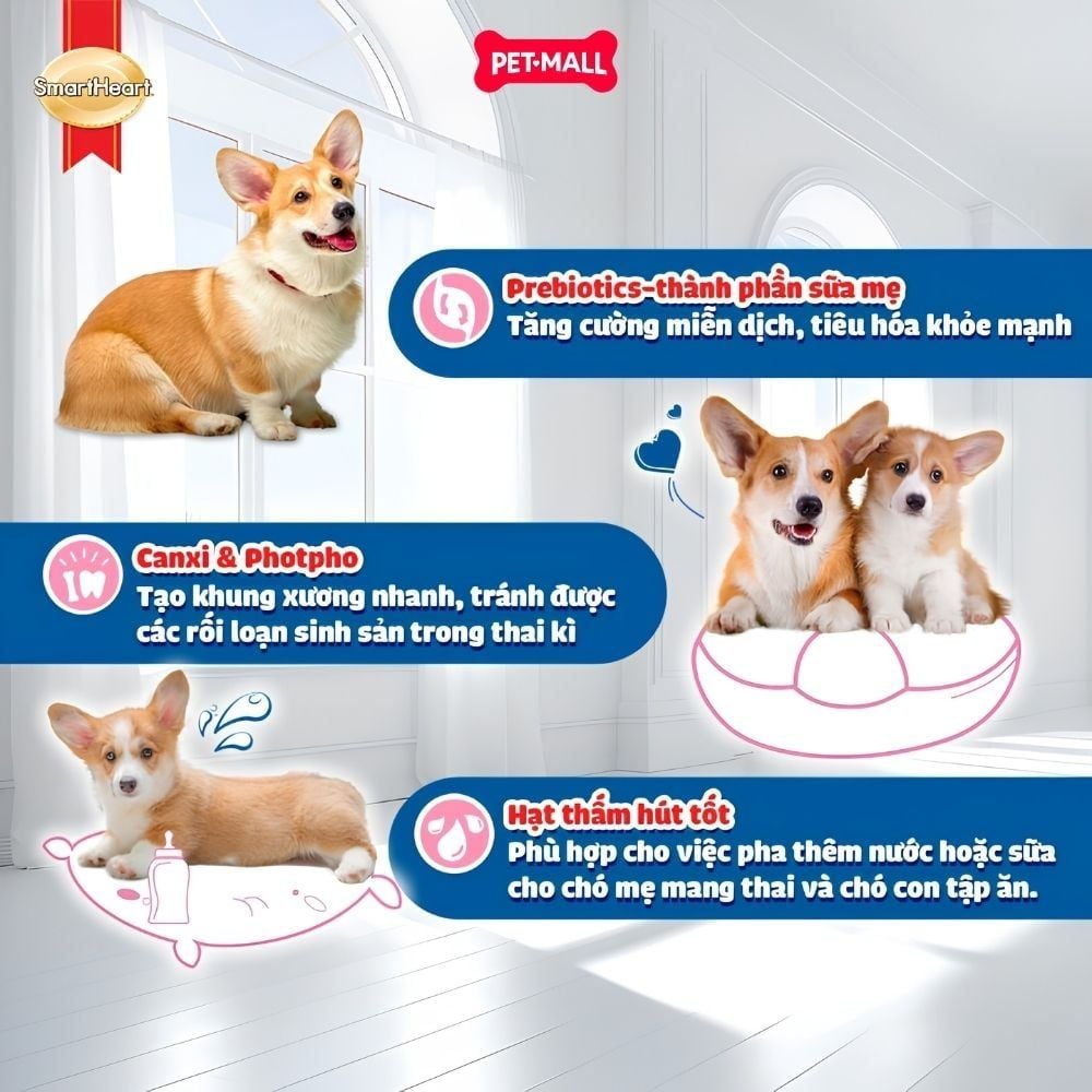 1.3KG - Thức ăn chó SmartHeart Mother & Baby dog - Cho chó mang thai & chó con Petmall