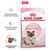 Set quà RC - 2KG Mother & Babycat Thức ăn mèo tặng 2 gói Pate Kitten 85g Petmall