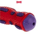 Đồ chơi GiGwi Toothbrush Stick Que gặm vệ sinh răng miệng màu đỏ tím Petmall