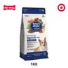  1KG - Thức ăn chó Today's Dinner Healthy Skin & Coat Adult - Hỗ trợ dưỡng lông cho chó trưởng thành Petmall 