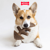 Xương gặm BENEBONE Fishbone Dog Salmon Flavour - cho chó < 27kg Petmall