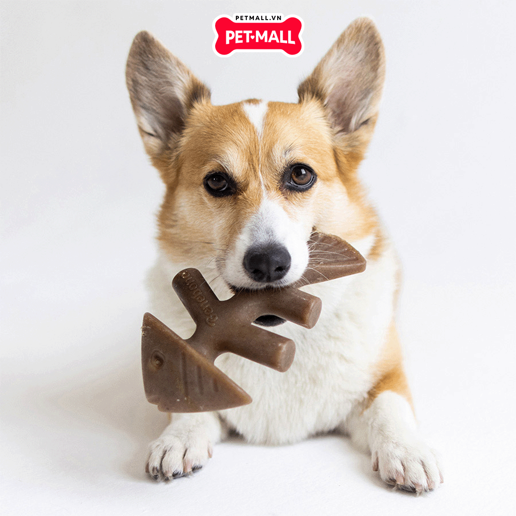 Xương gặm BENEBONE Fishbone Dog Salmon Flavour - cho chó < 27kg Petmall