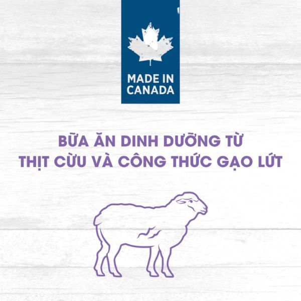 10KG - Thức ăn chó Nutrience Original for Medium & Large dogs - Thịt cừu, gạo lứt & rau củ Petmall