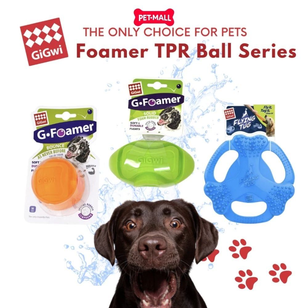 Đồ chơi GiGwi G Foamer TPR Ball - Bóng Cao Su Màu Cam Petmall