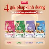 2.4KG - Thức ăn chó Today's Care 6 Stars - Dinh dưỡng hỗ trợ sức khoẻ toàn diện Petmall