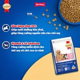 2.6KG - Thức ăn chó SmartHeart Mother & Baby dog - Cho chó mang thai & chó con Petmall