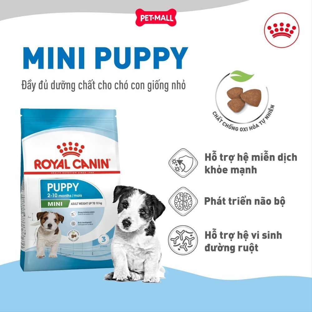 Set quà RC - 2KG Mini Puppy Thức ăn chó tặng 2 gói Pate Mini Puppy 85g Petmall