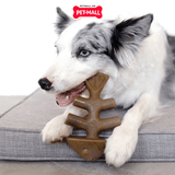 Xương gặm BENEBONE Fishbone Dog Salmon Flavour - cho chó < 27kg Petmall